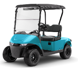 RXV 2 Passenger Golf Carts for sale in Bakersfield, CA